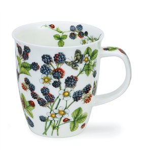 Wild Fruits Blackberries | Nevis