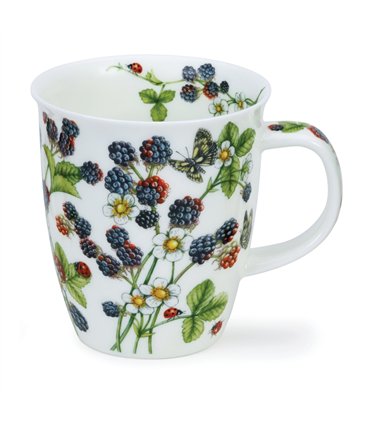 Wild Fruits Blackberries | Nevis