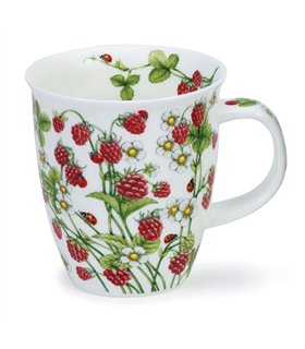 Wild Fruits Raspberries| Nevis