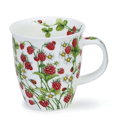 Wild Fruits Raspberries| Nevis