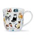 Cumbrae Cat Breeds | Bone China mug by Dunoon in England