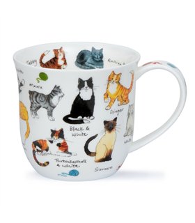 Cumbrae Cat Breeds | Bone China mug by Dunoon in England