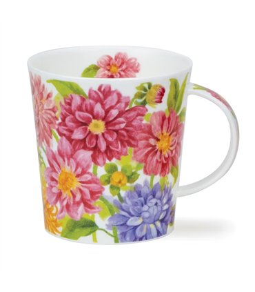 Flora Bonita Dahlia | Lomond