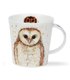 What a Hoot Brown