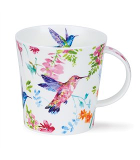 Zerzura Hummingbird
