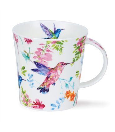Zerzura Hummingbird