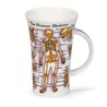 Human Body / Skeleton