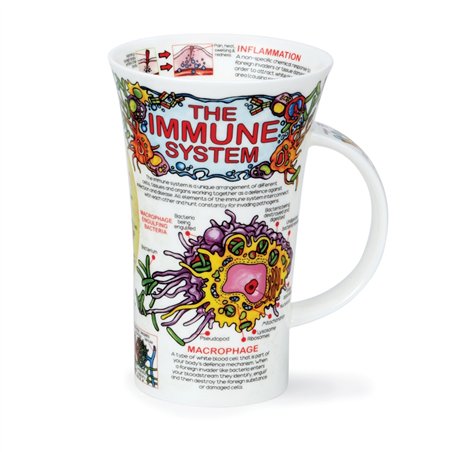 Immune System