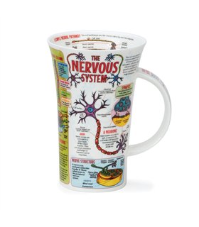Nervous System | Glencoe Style Mug