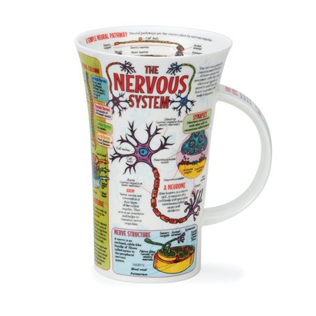 Nervous System | Glencoe Style Mug