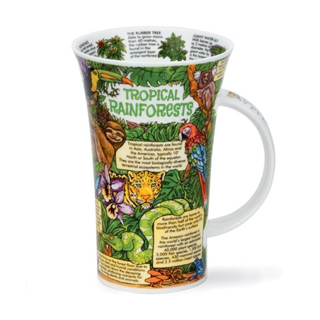 Tropical Rainforests