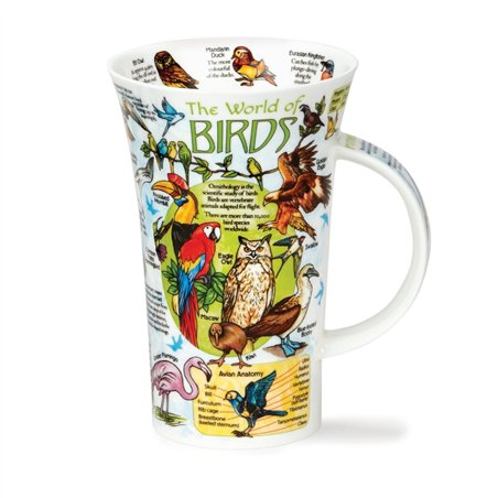 World of Birds