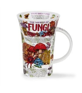 World of Fungi