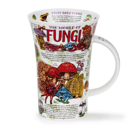 World of Fungi