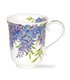 Wisteria - Braemar