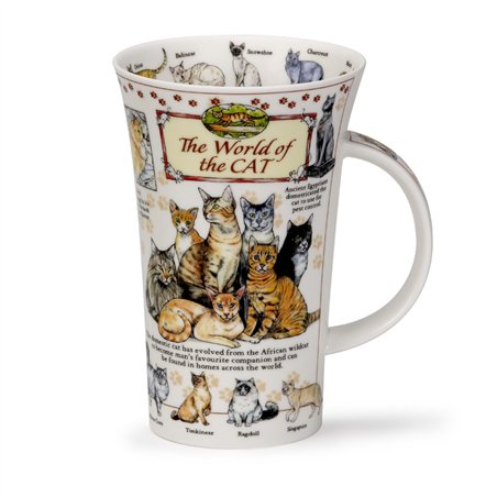 World of the Cat