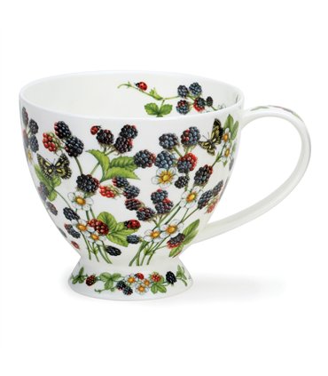Wild Blackberries | Skye
