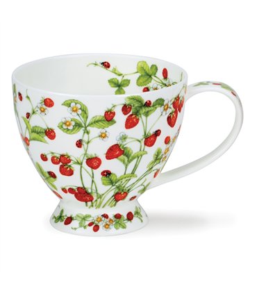 Wild Strawberries | Skye
