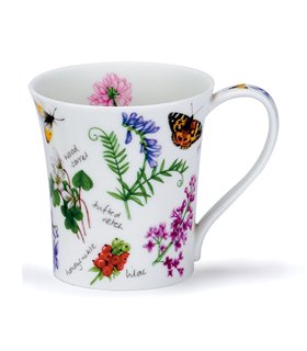 Wayside Vetch | Jura