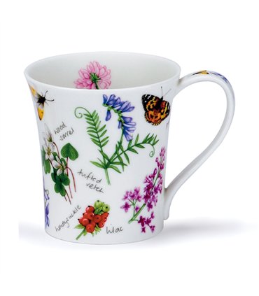 Wayside Vetch | Jura