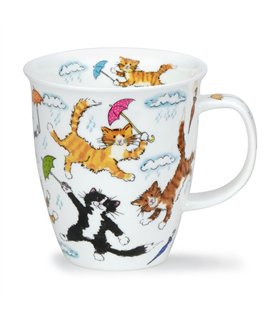 Raining Cats | Nevis